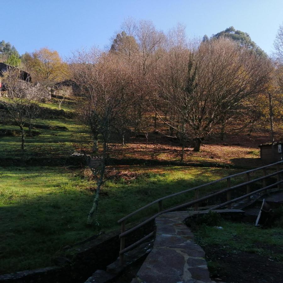 Casa De Baixo Lejlighed Lousã Eksteriør billede